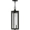 Progress Lighting Janssen Collection Oil Rubbed Bronze One-Light Hanging Lantern P550044-108 - alternate 2